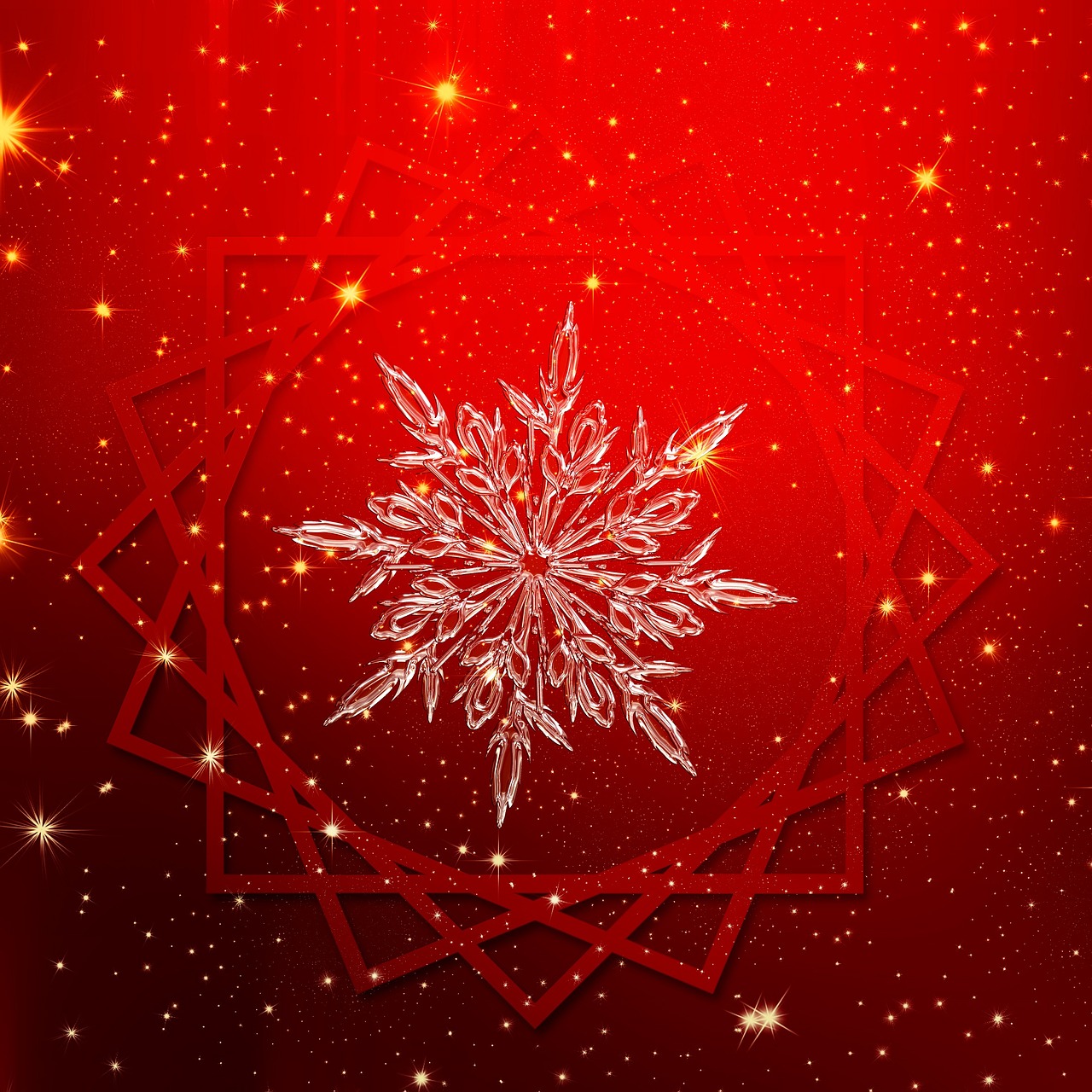 christmas star ice crystal free photo