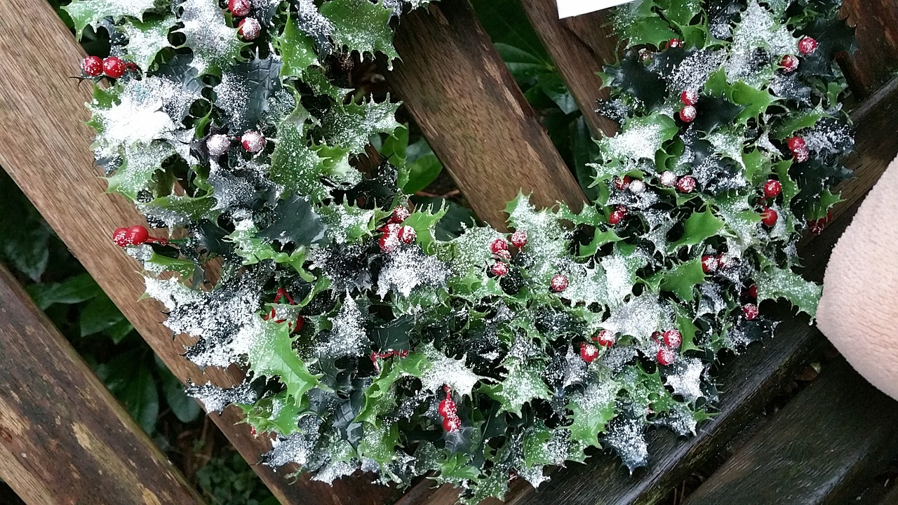 christmas wreath snow free photo