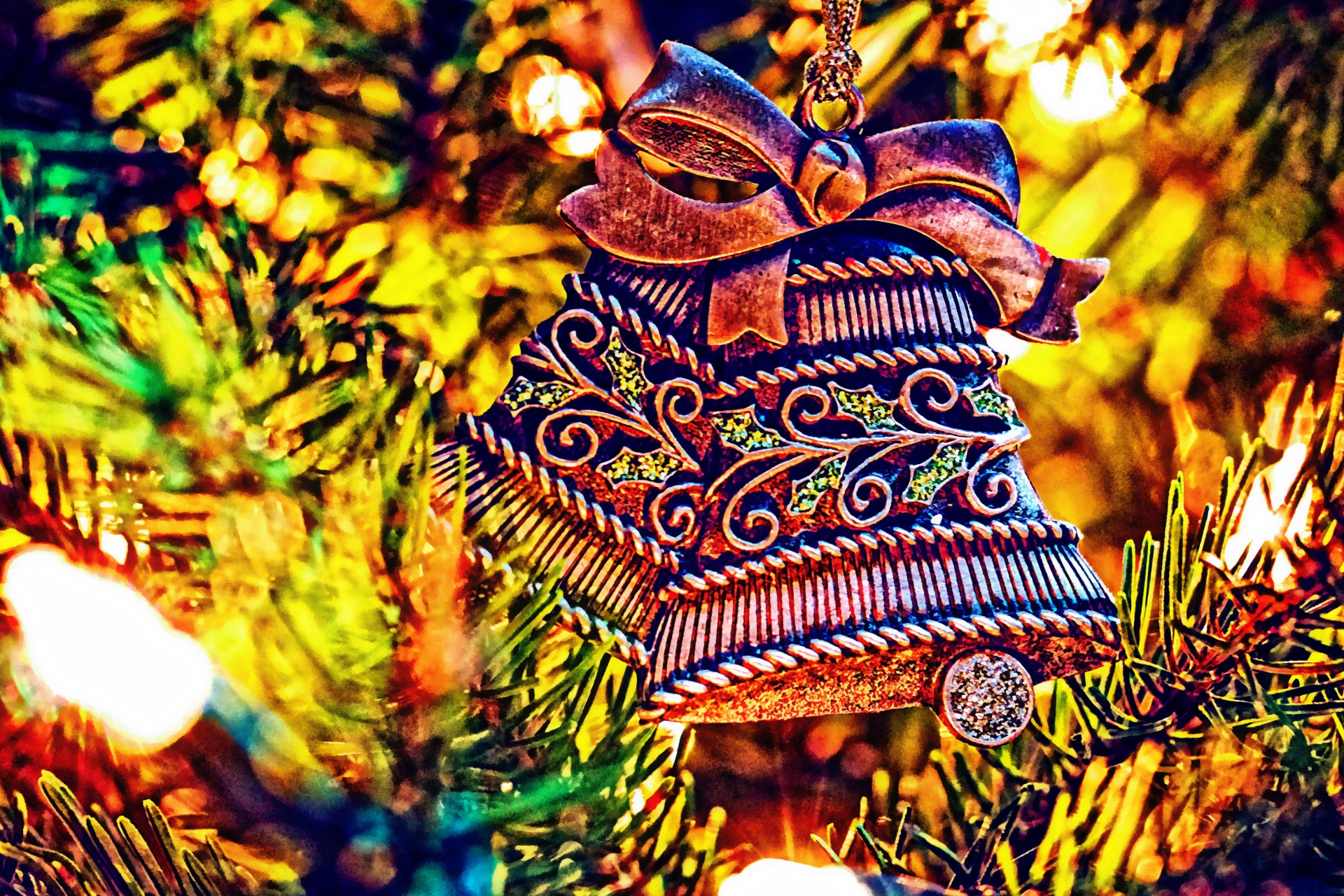 christmas tree pine free photo