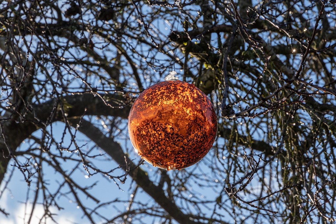 christmas bauble  winter  branches free photo