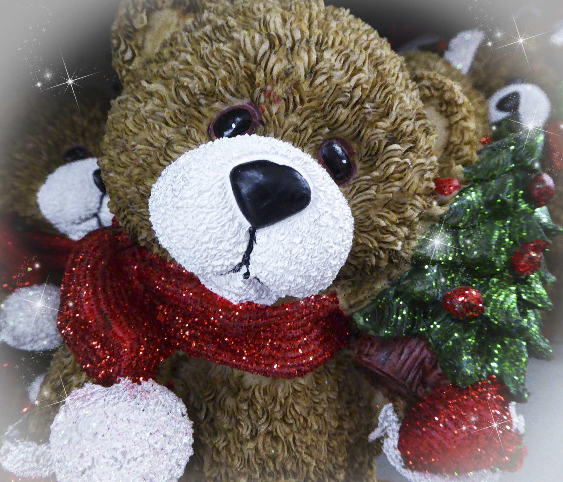 christmas bear xmas free photo