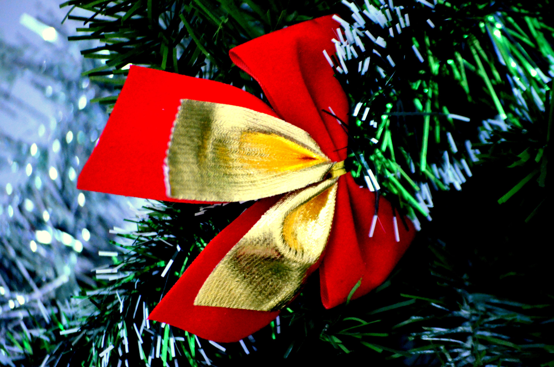 christmas bow bows free photo