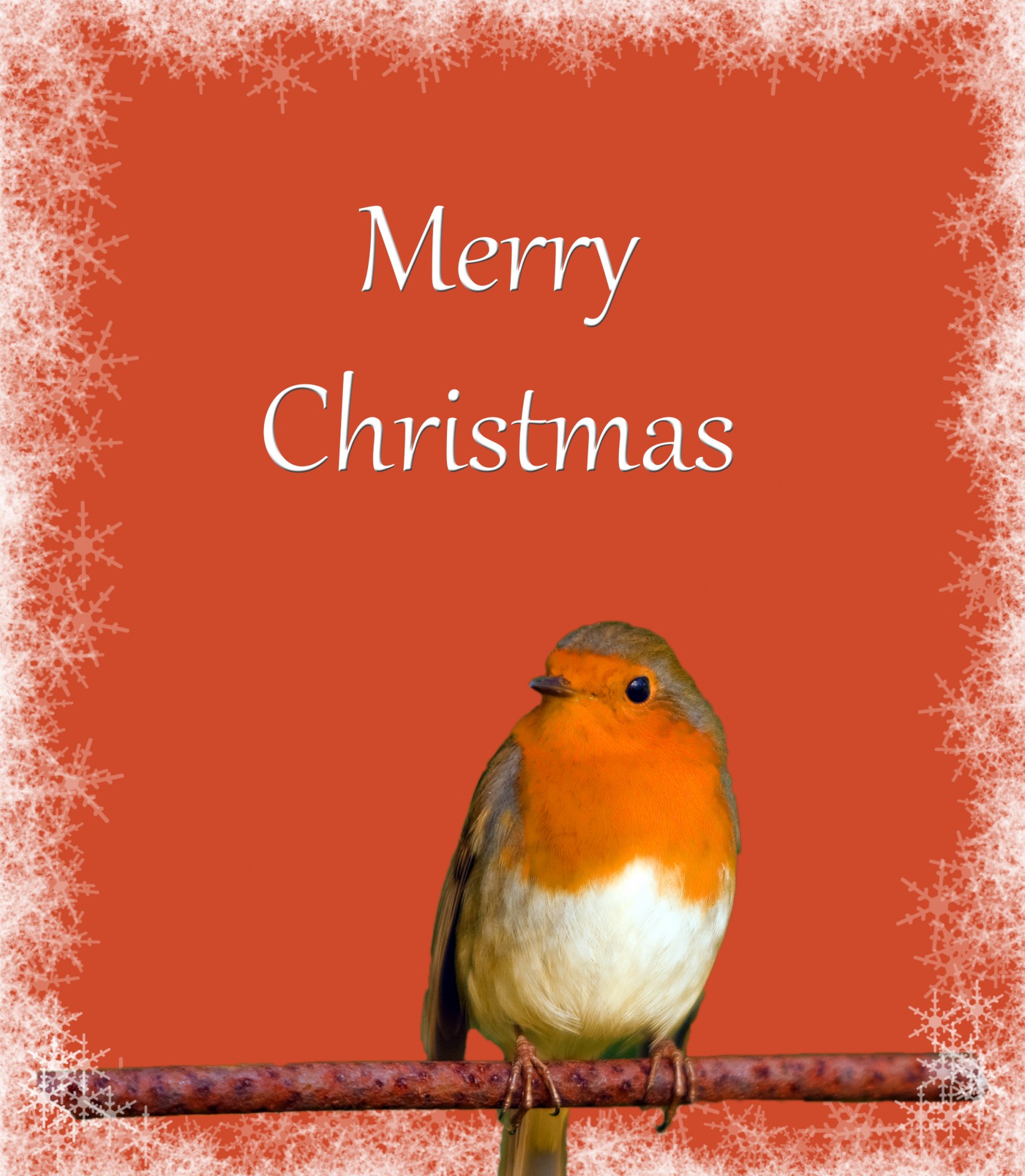 christmas card template free photo