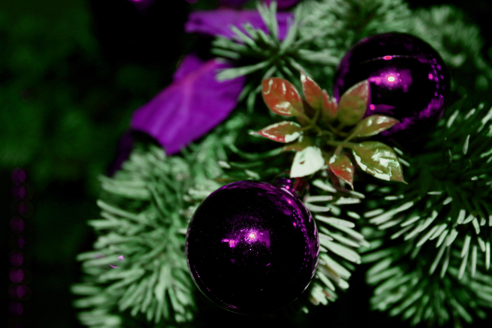 christmas decoration wallpaper free photo