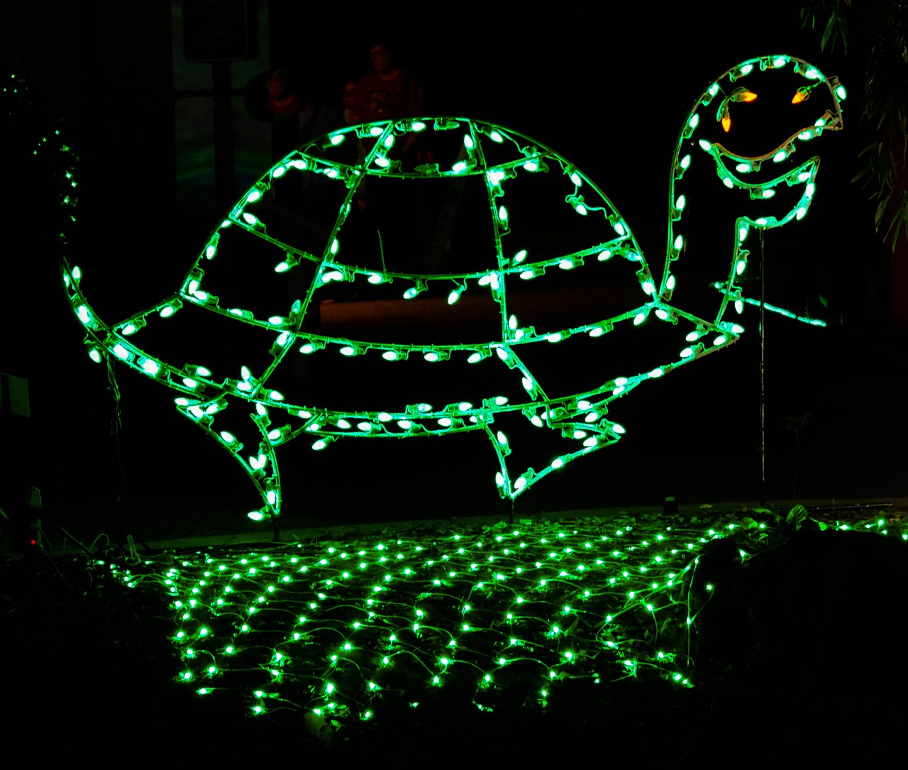 christmas decoration holiday turtle free photo