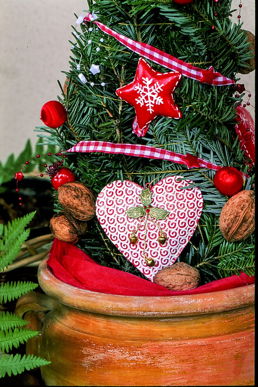 christmas decoration heart red free photo