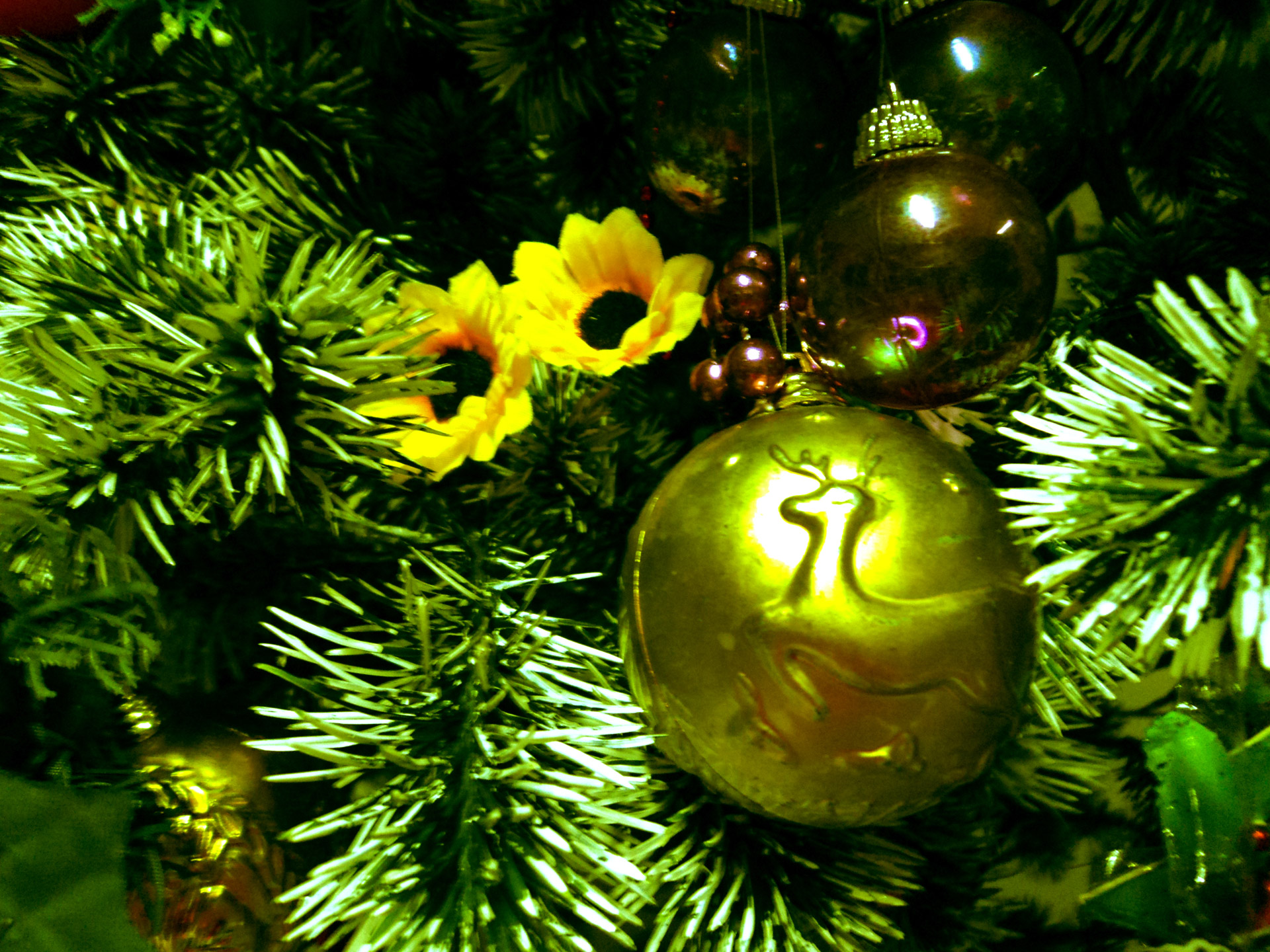 christmas decoration flower free photo