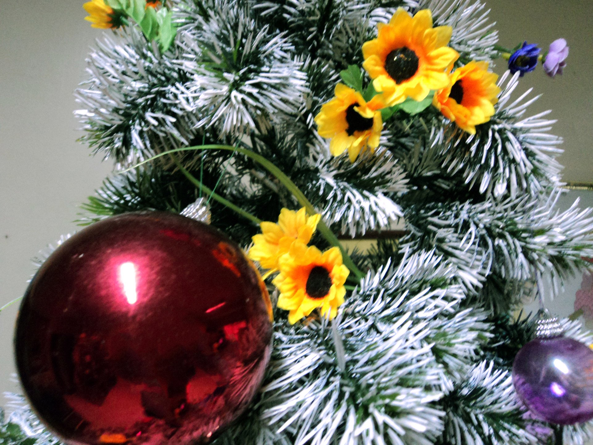 christmas decoration flower free photo