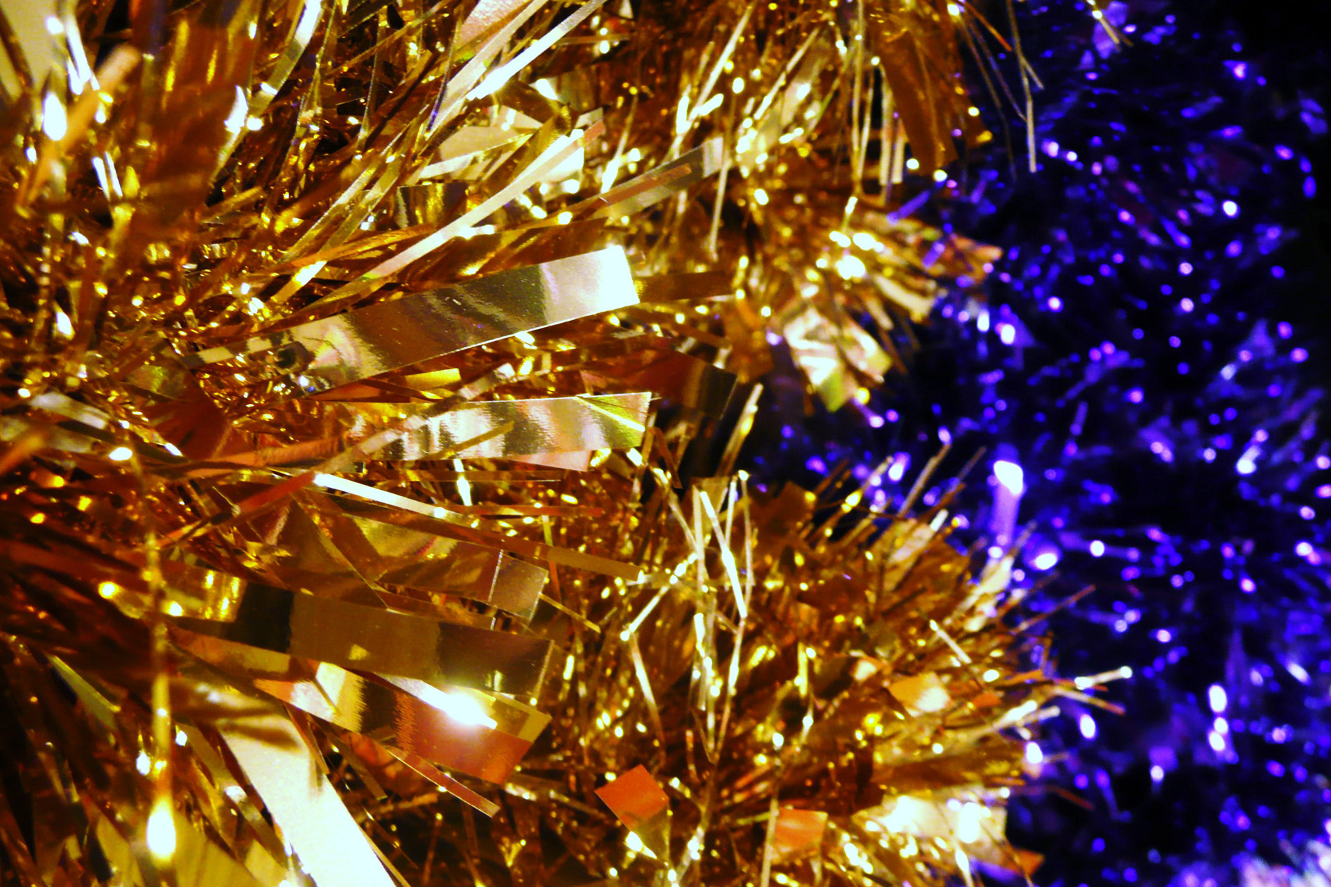 christmas gold blue free photo