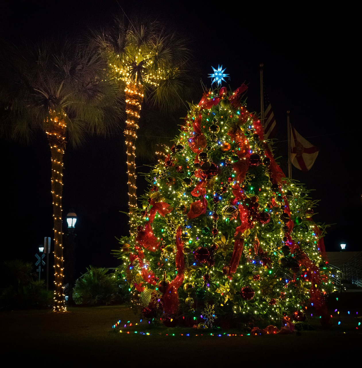 christmas decorations florida neon free photo