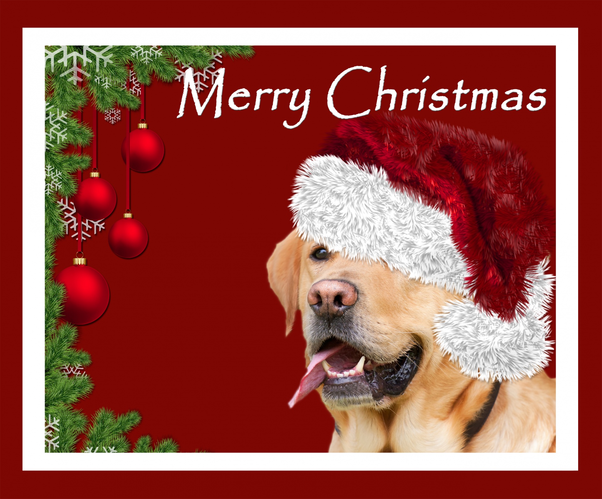 christmas dog card free photo
