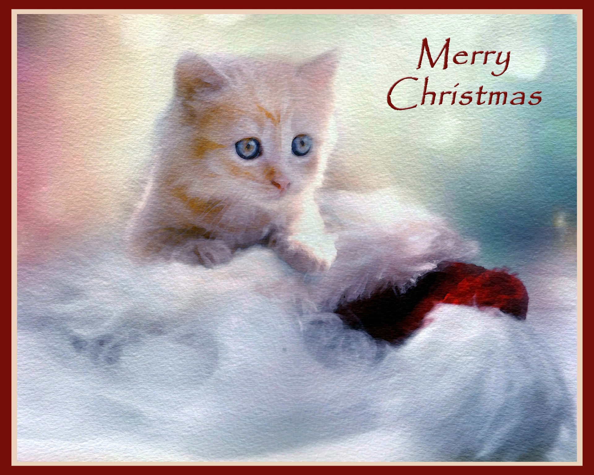 christmas kitten card free photo