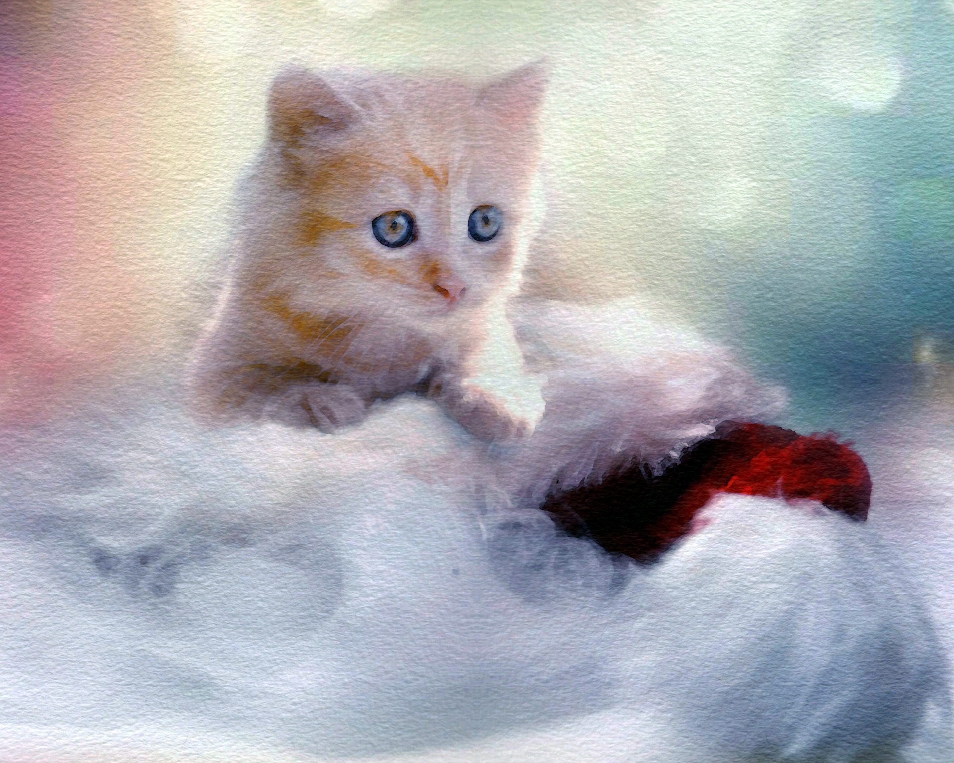 kitten christmas watercolor free photo