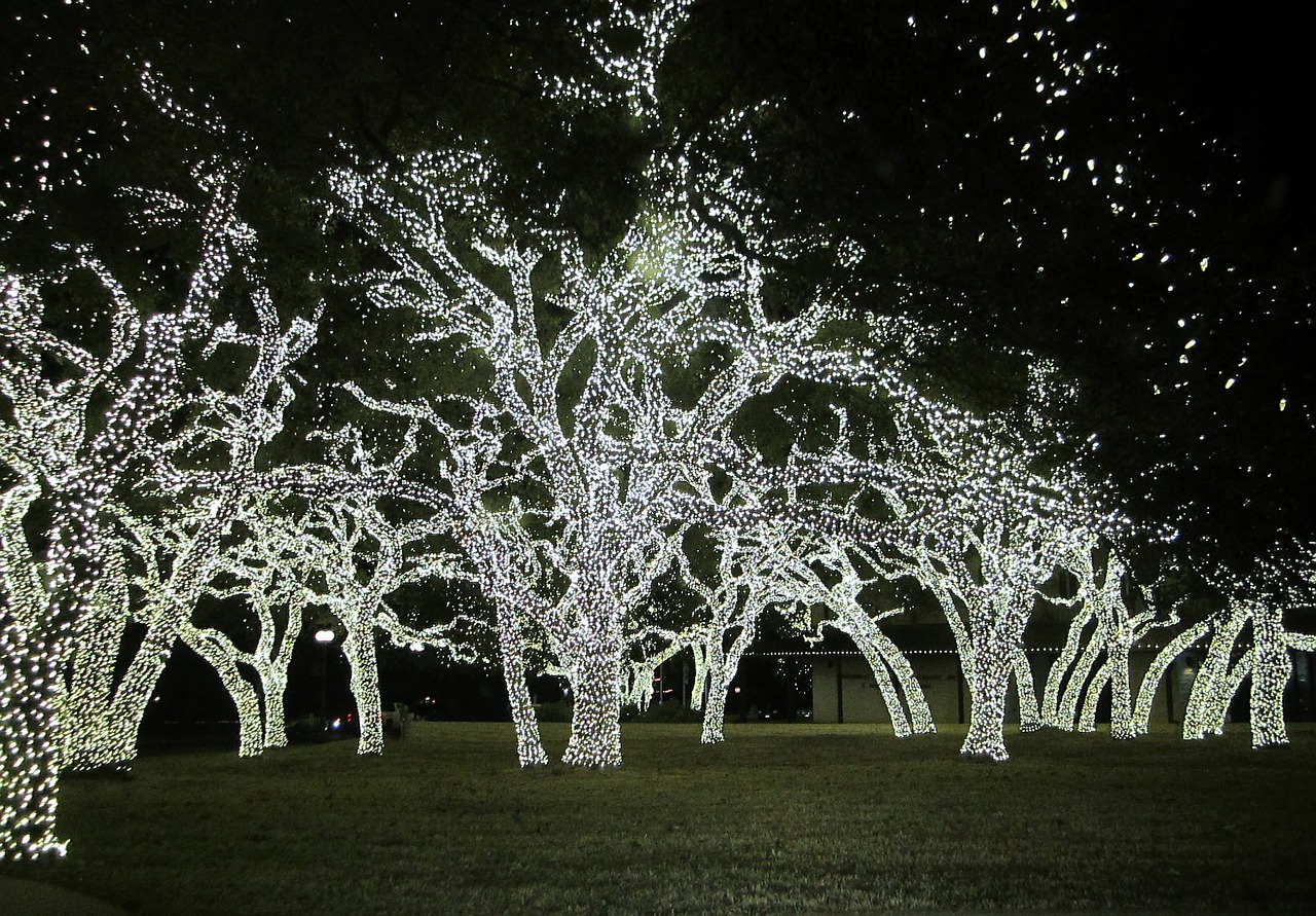 christmas lights texas christmas free photo