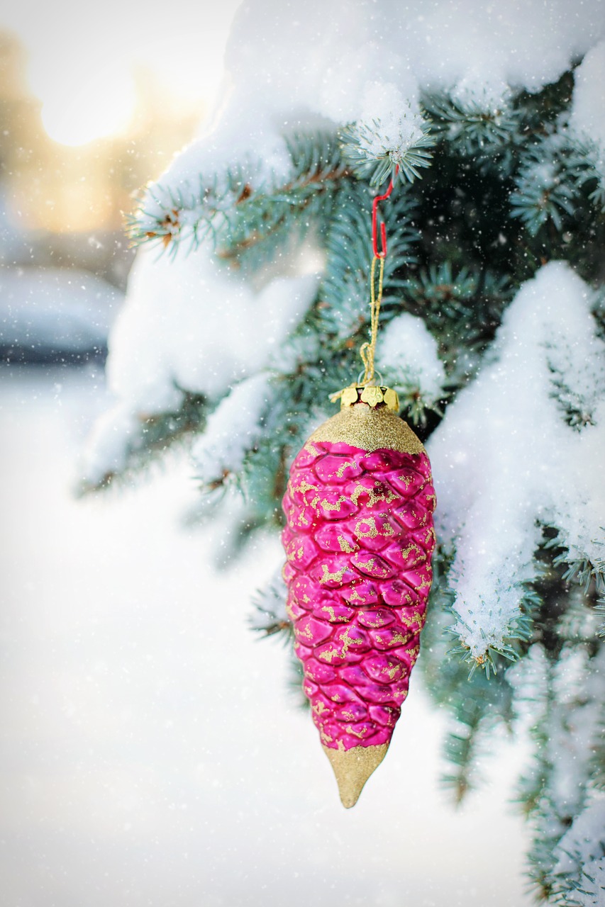 christmas ornament pine cone ornament snowy tree free photo
