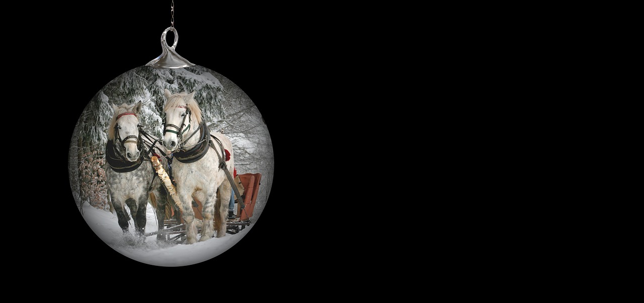 christmas ornament horses team free photo