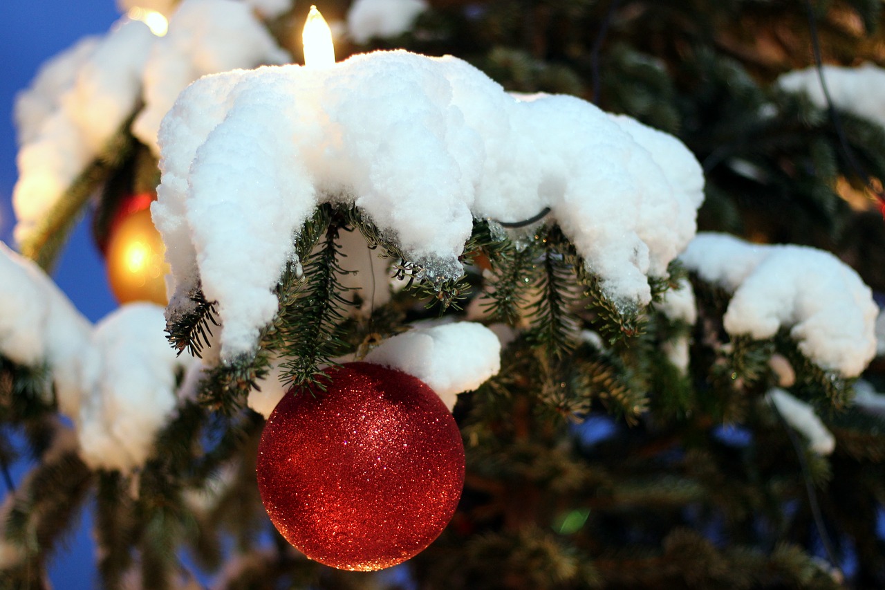 christmas ornament christmas tree snowy free photo