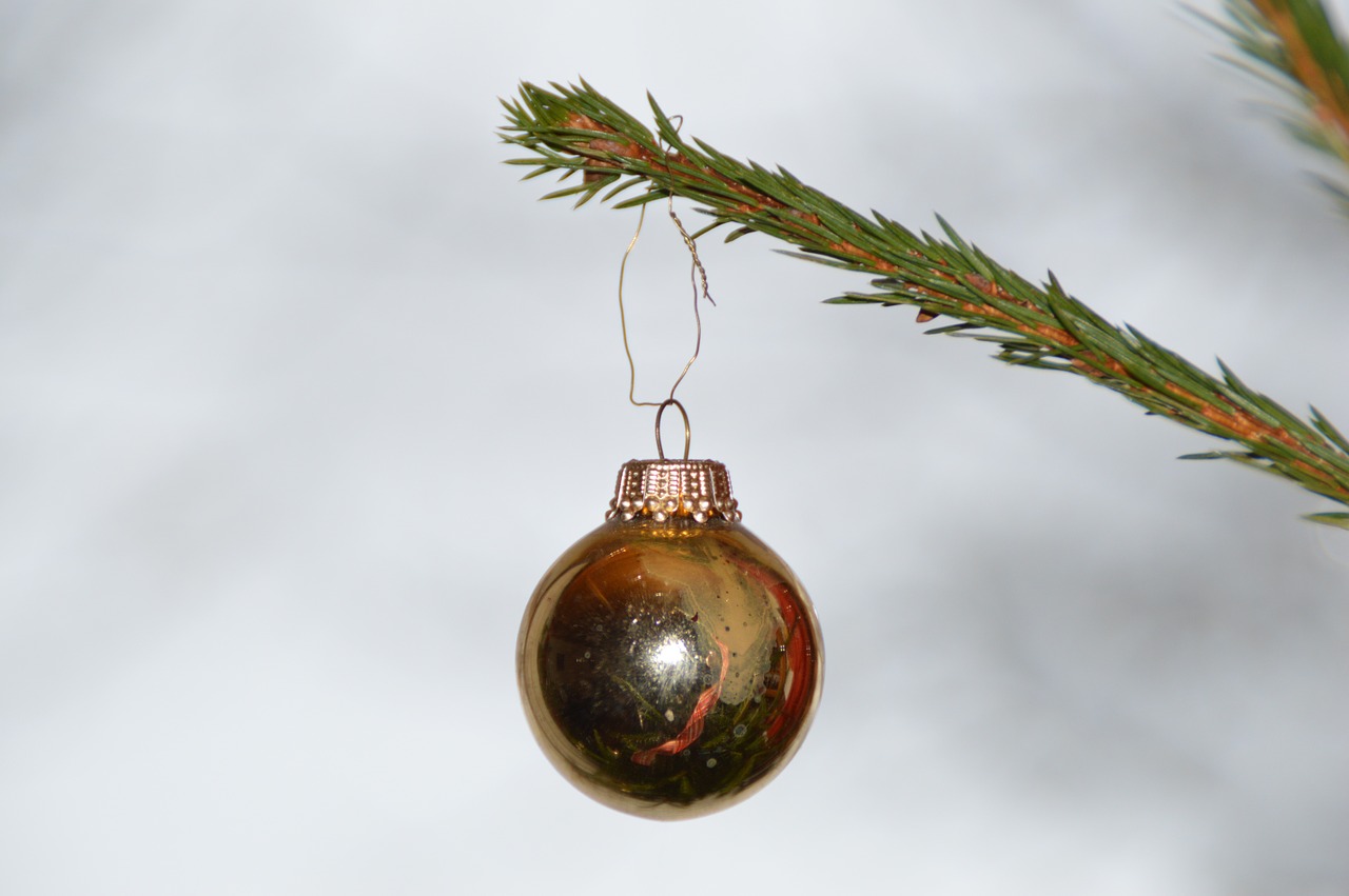 christmas ornament christmas christmas tree free photo