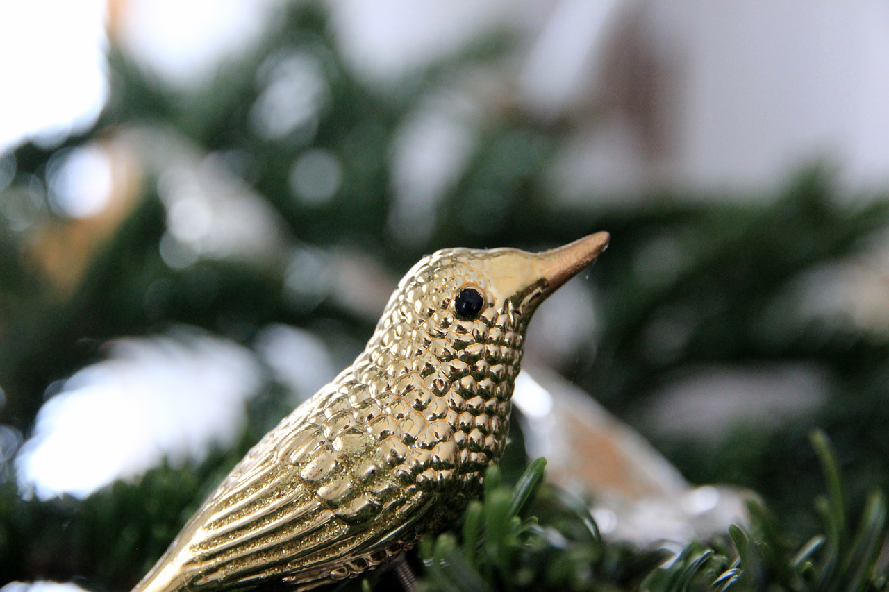 christmas ornaments bird gold free photo