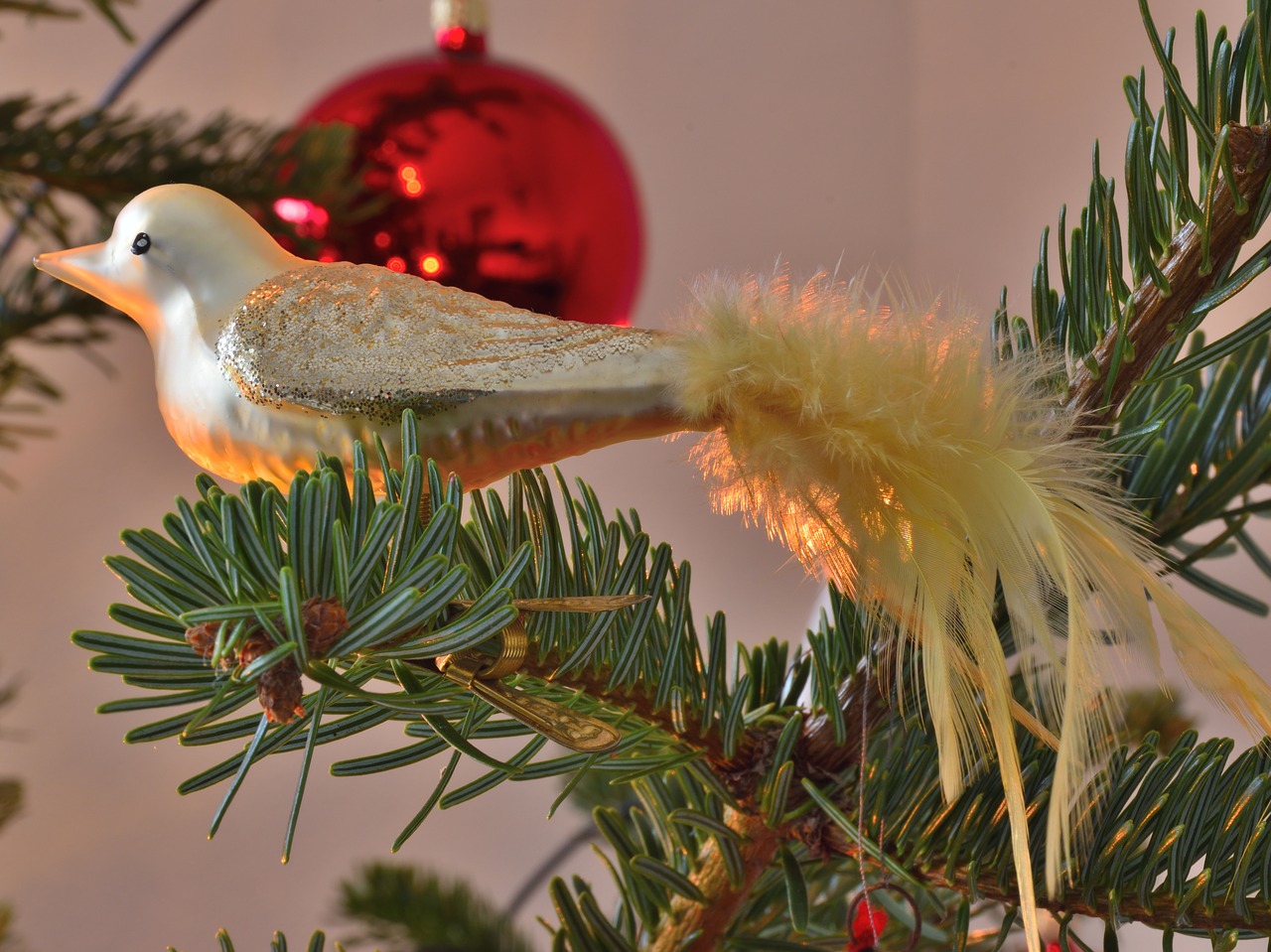 christmas ornaments bird christmas tree free photo