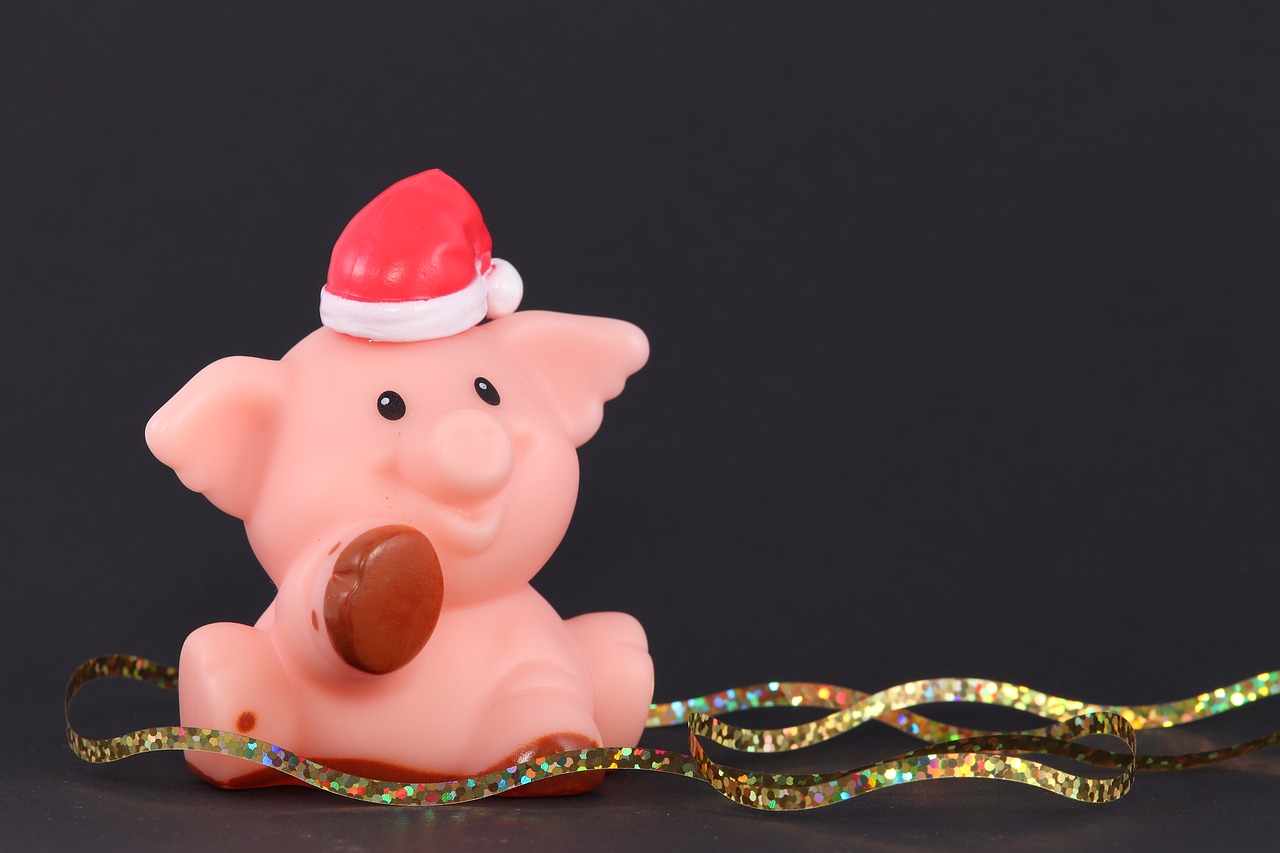 christmas pig  santa hat  pig free photo