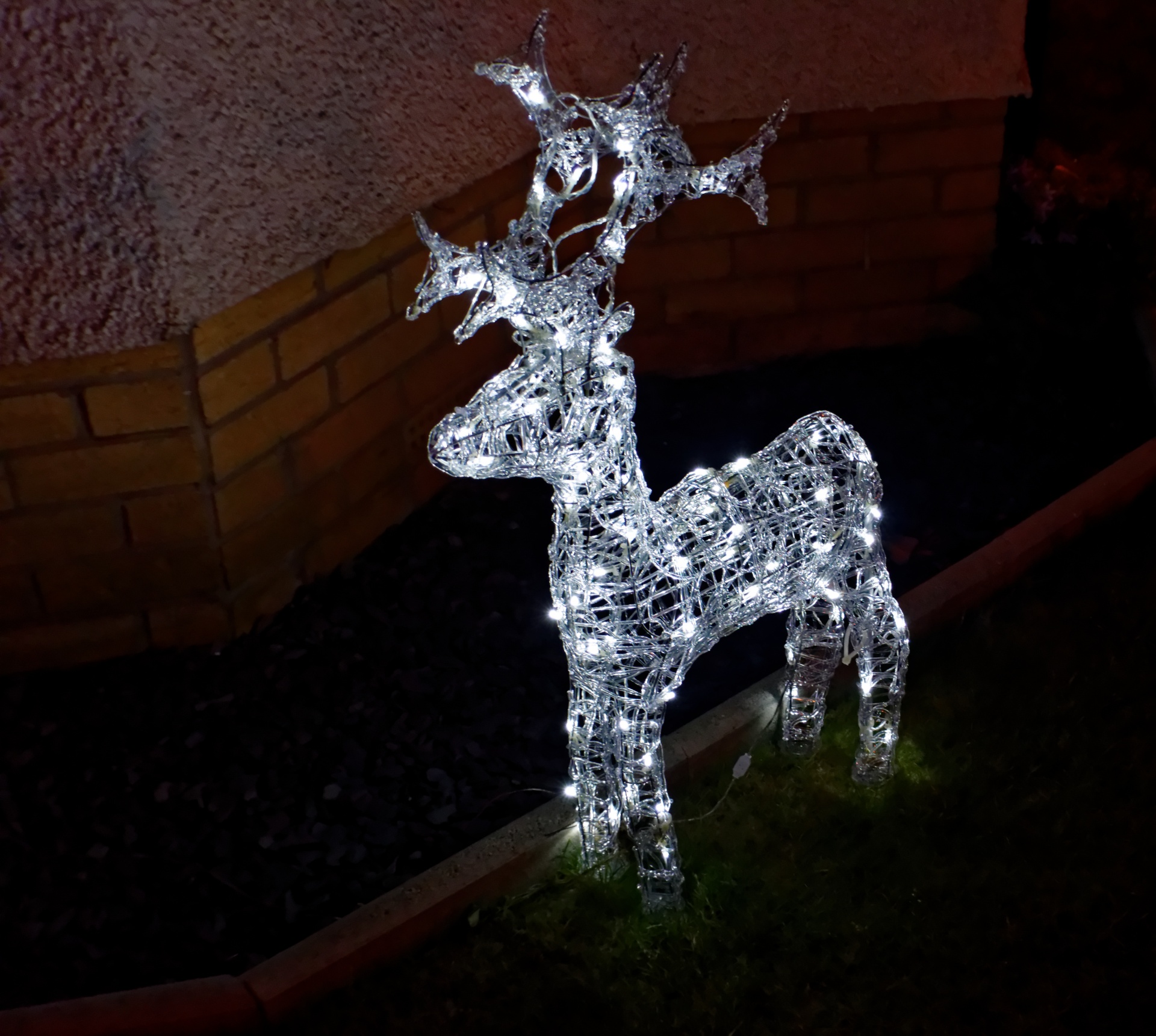 christmas reindeer lights free photo