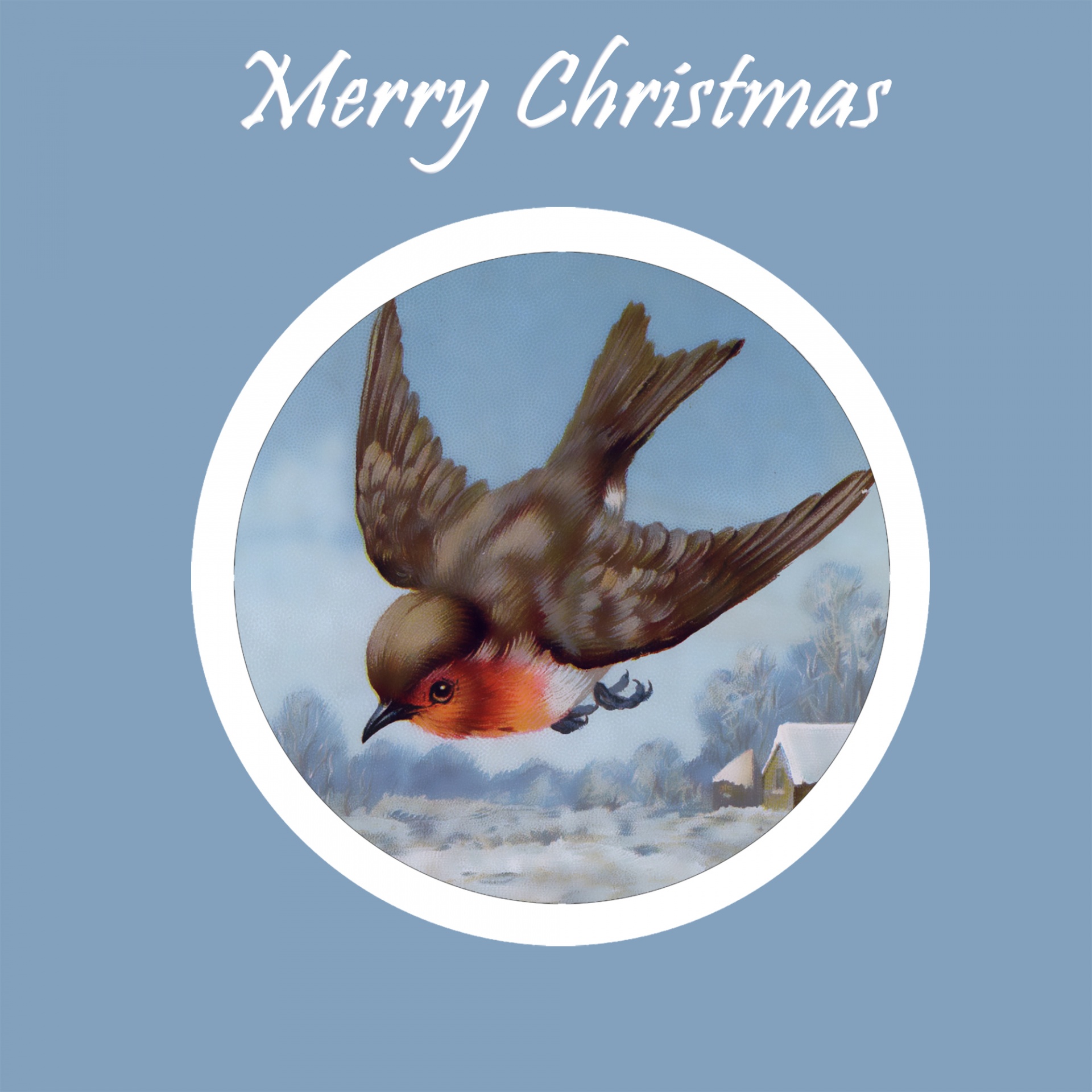 christmas vintage robin free photo