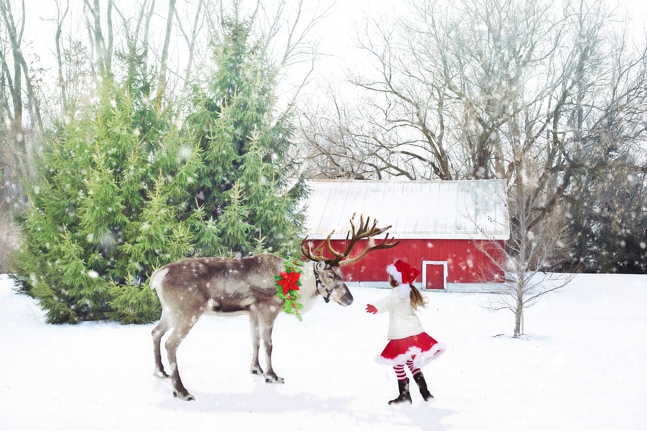 christmas scene reindeer little girl free photo