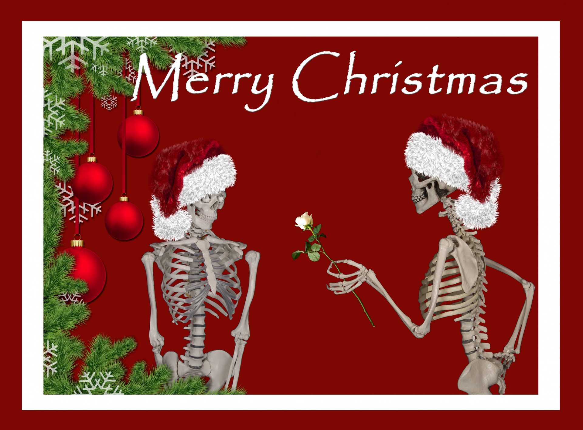 christmas skeleton skeletons free photo