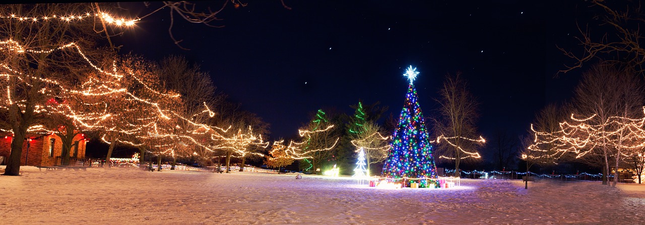 christmas town xmas tree winter free photo