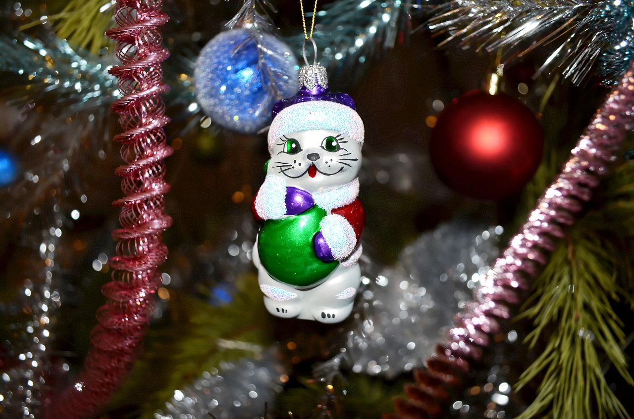 christmas toy  glass  tinsel free photo