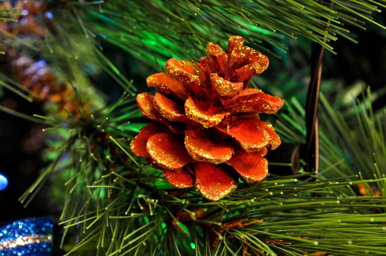 christmas tree decoration tree free photo