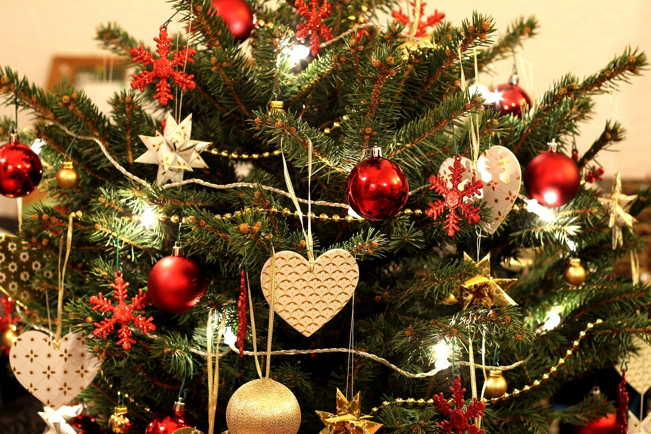 christmas tree tree decorations christmas free photo