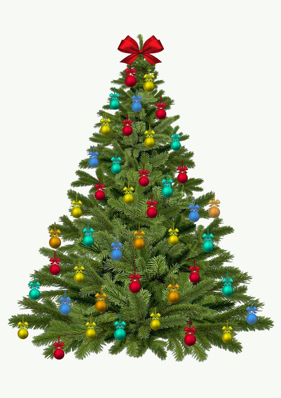 christmas tree christmas fir free photo