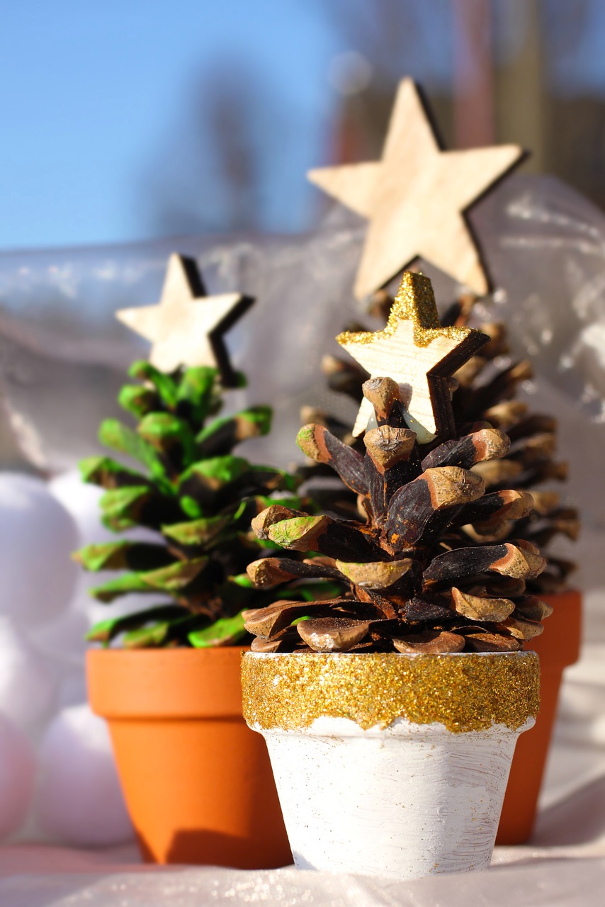 christmas tree pine cones star free photo
