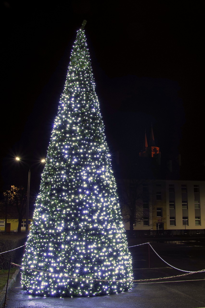christmas tree the lights lights free photo