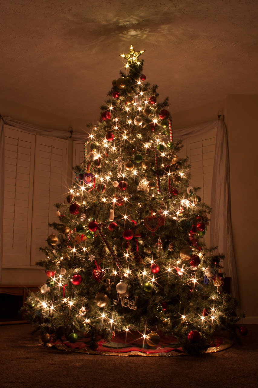 christmas tree christmas lights star free photo