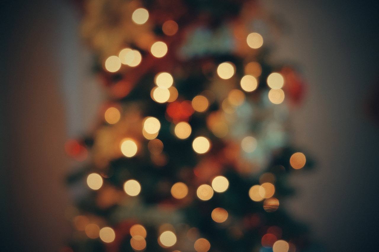 christmas tree bokeh colorful free photo