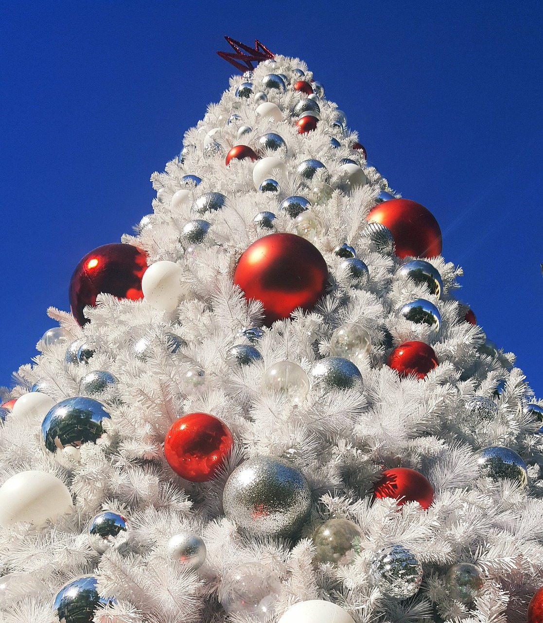 christmas tree  los angeles  white christmas free photo