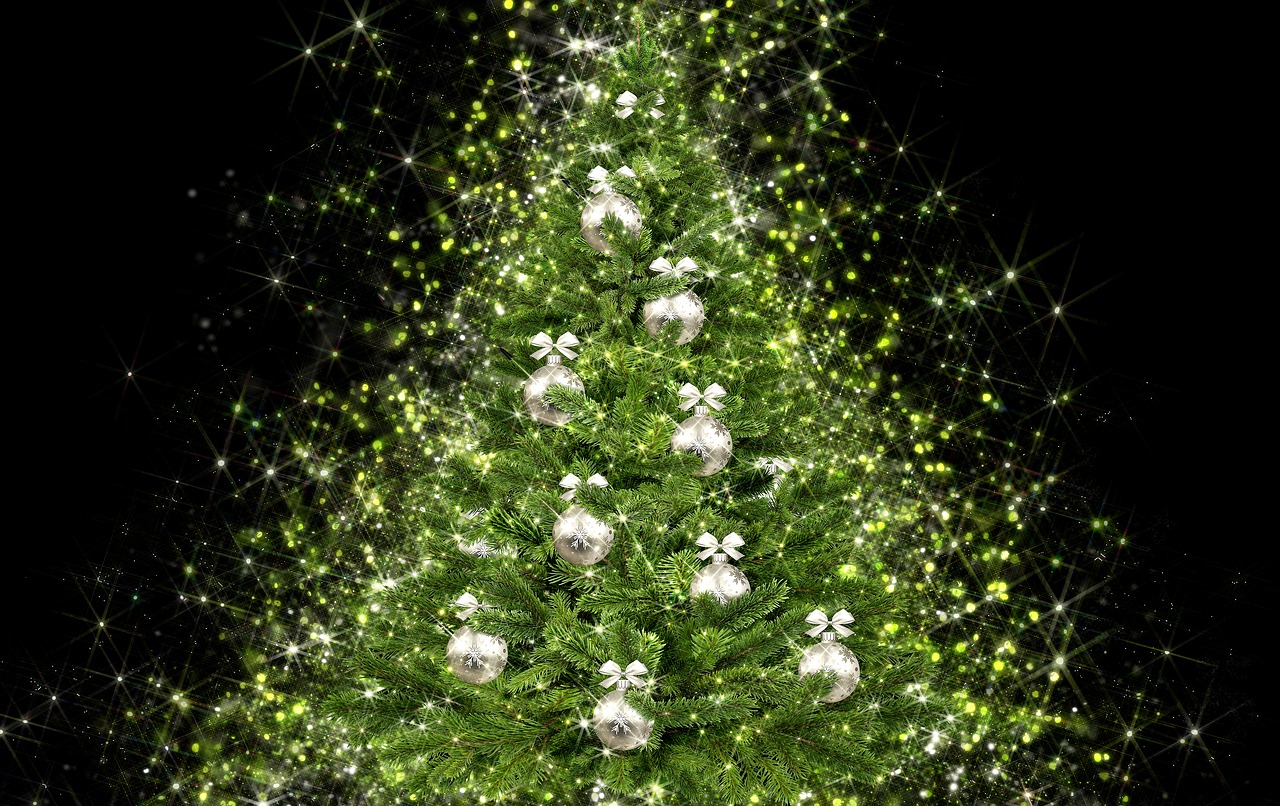 christmas tree  christmas  decoration free photo