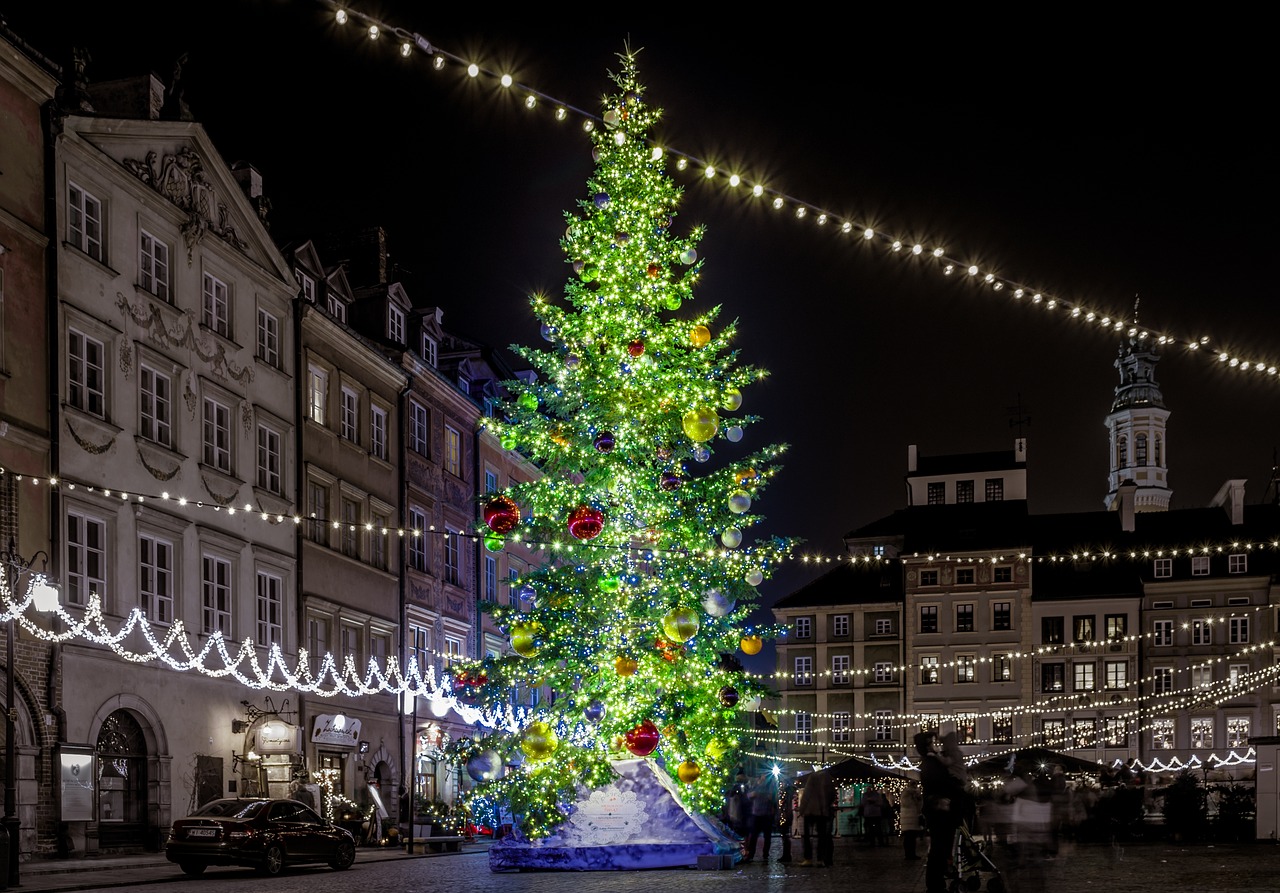 christmas tree  christmas  city free photo