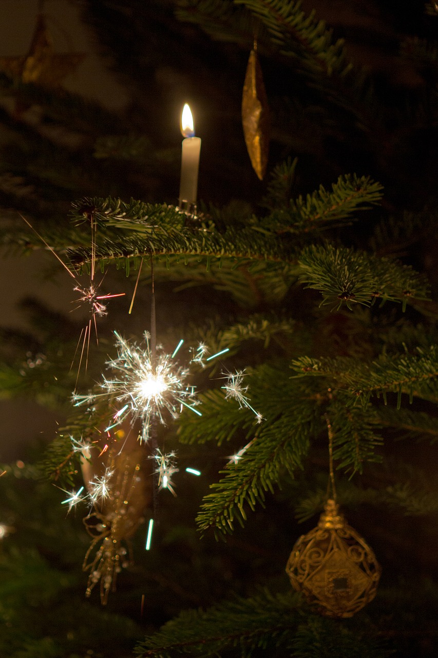christmas tree sparkler candle free photo