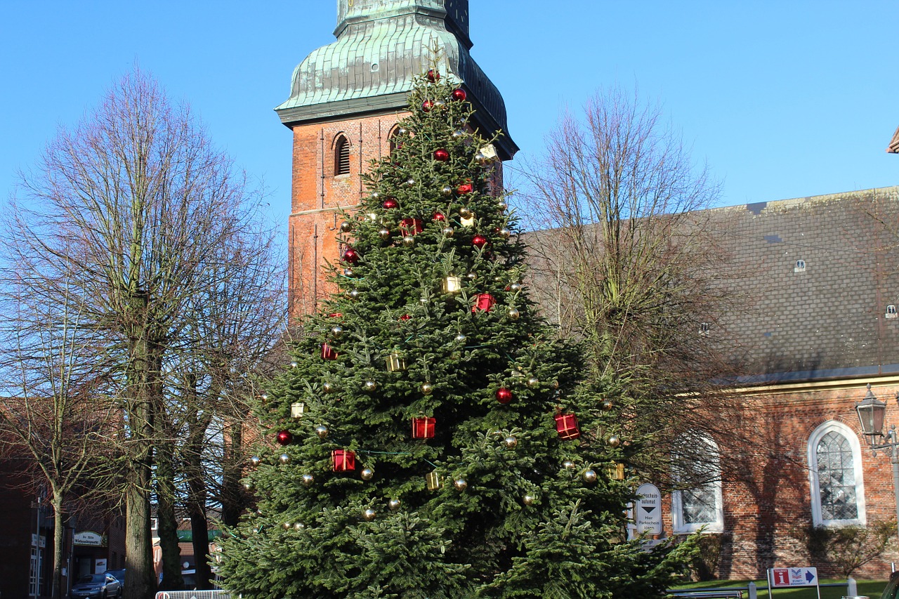 christmas tree christmas fir free photo