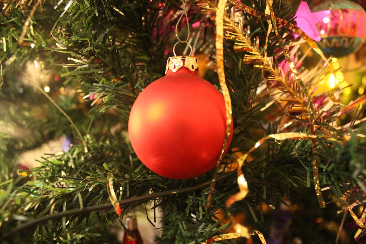 christmas tree christmas trappings free photo