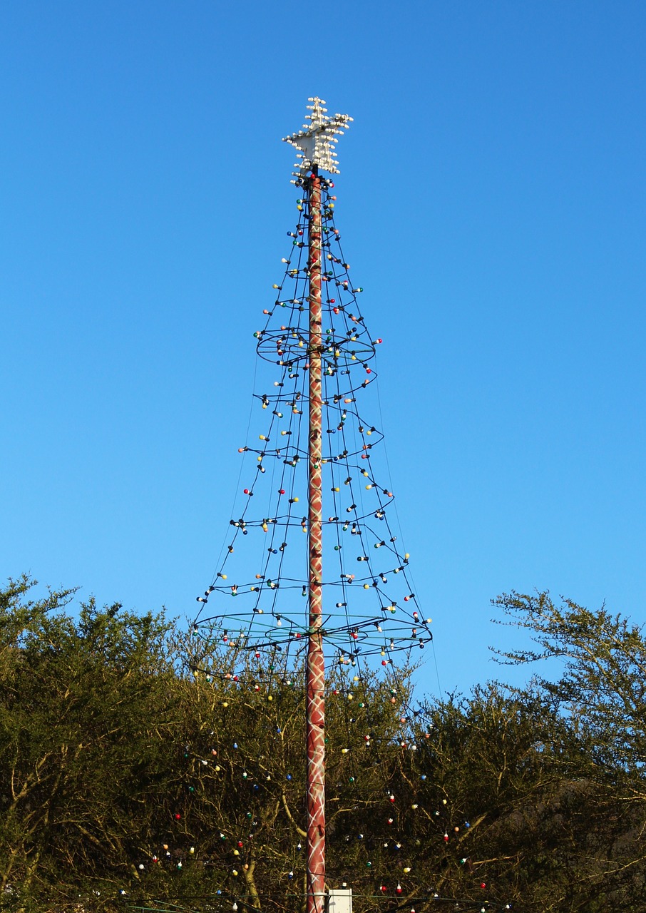 christmas tree lights south africa free photo