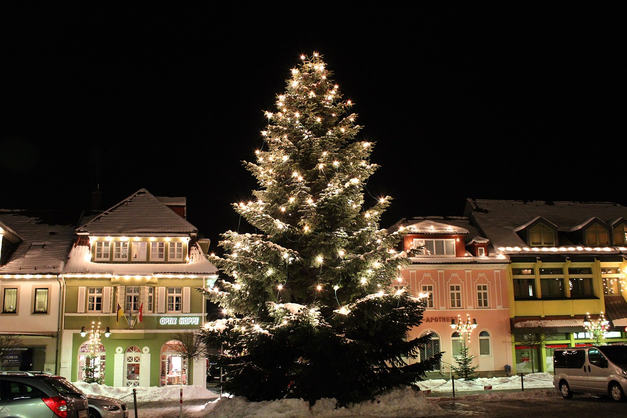 christmas tree christmas night photograph free photo