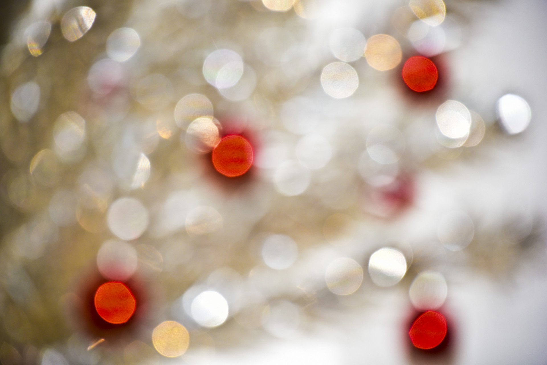 christmas bokeh greeting free photo