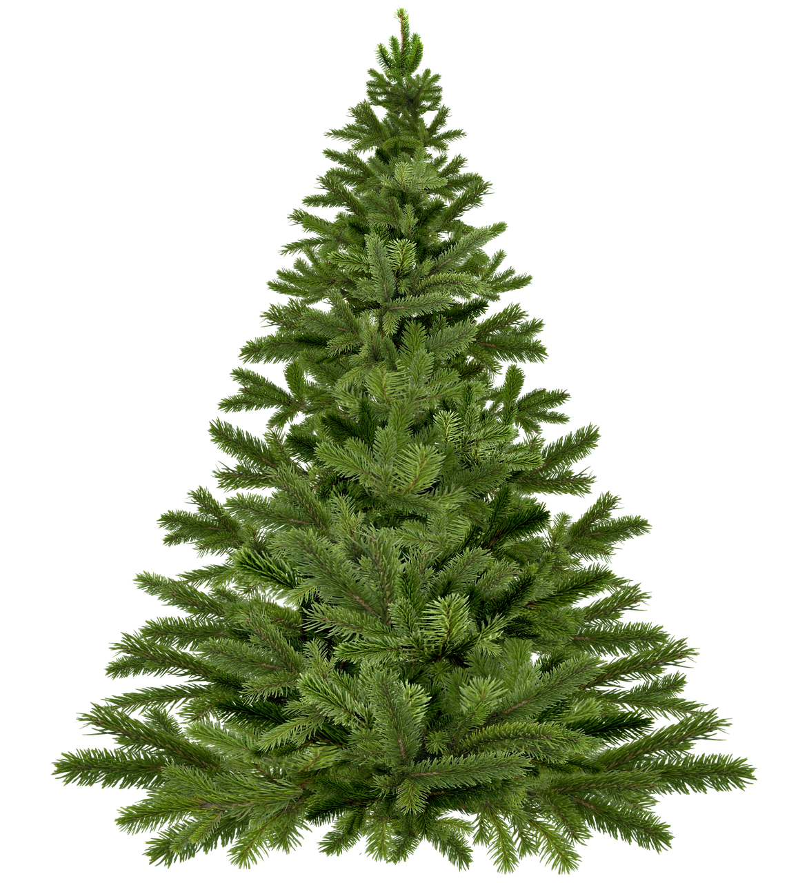 christmas tree christmas christmas tree pine free photo