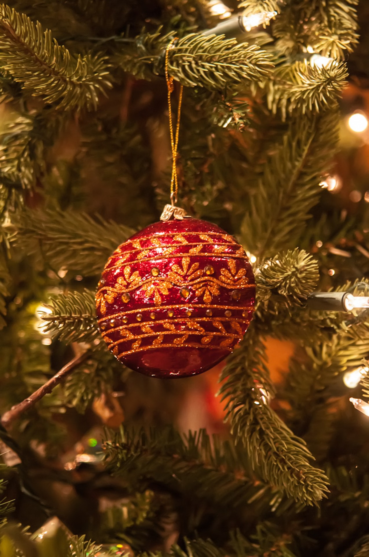 christmas tree ornament free photo