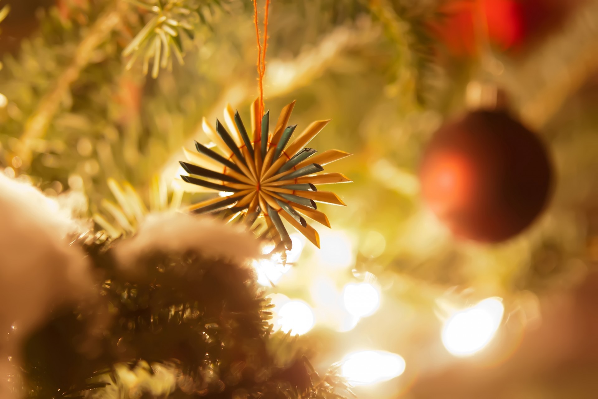 christmas tree ornament free photo